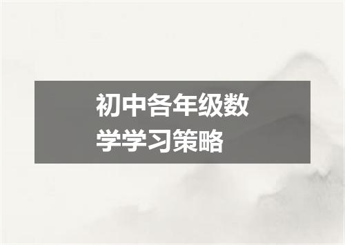 初中各年级数学学习策略