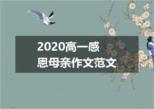 2020高一感恩母亲作文范文
