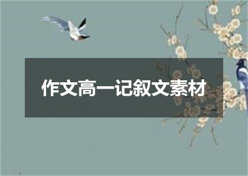 作文高一记叙文素材