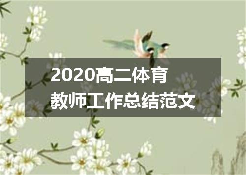 2020高二体育教师工作总结范文