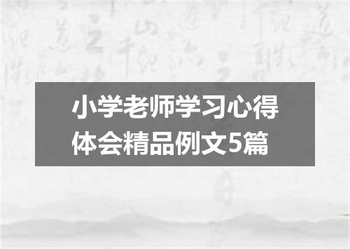 小学老师学习心得体会精品例文5篇