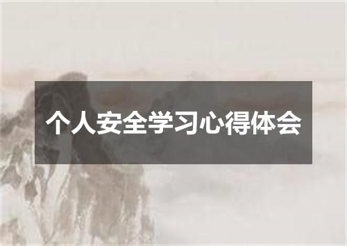 个人安全学习心得体会