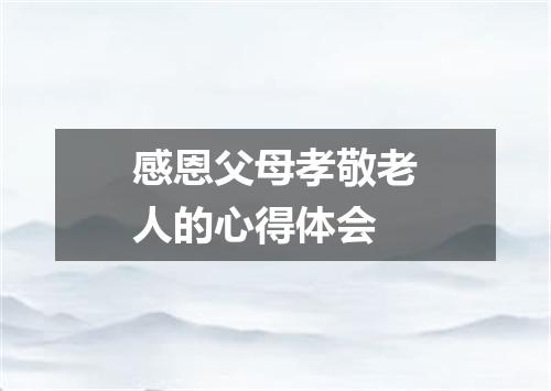 感恩父母孝敬老人的心得体会