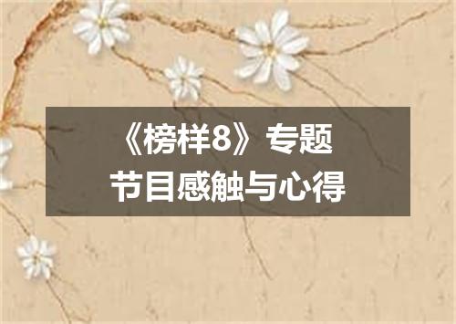 《榜样8》专题节目感触与心得