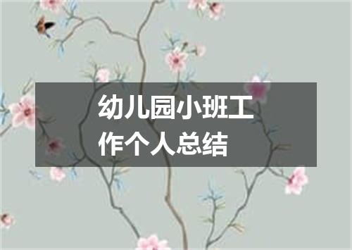 幼儿园小班工作个人总结