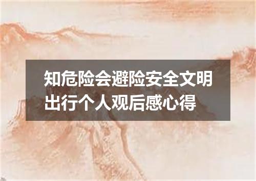 知危险会避险安全文明出行个人观后感心得