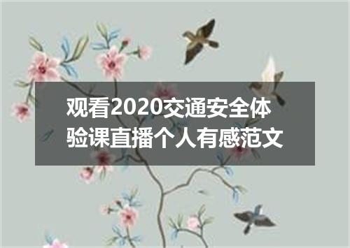 观看2020交通安全体验课直播个人有感范文