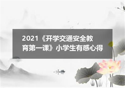 2021《开学交通安全教育第一课》小学生有感心得