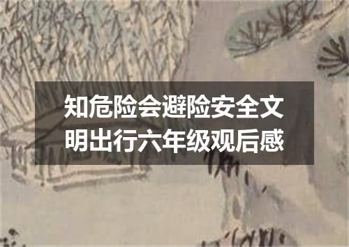 知危险会避险安全文明出行六年级观后感