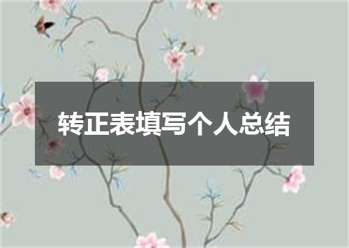 转正表填写个人总结