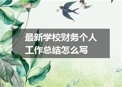 最新学校财务个人工作总结怎么写