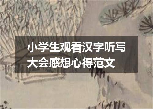 小学生观看汉字听写大会感想心得范文