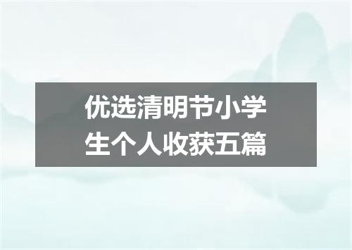 优选清明节小学生个人收获五篇