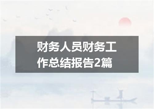 财务人员财务工作总结报告2篇