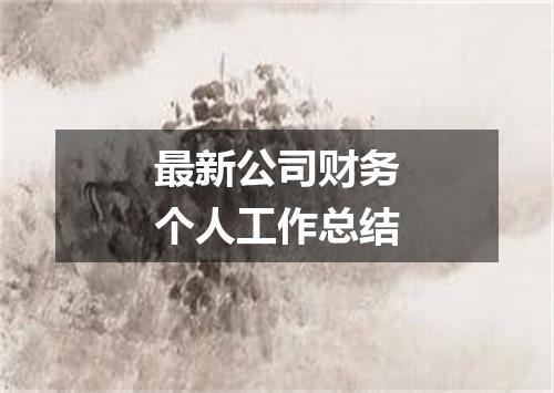 最新公司财务个人工作总结