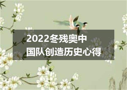 2022冬残奥中国队创造历史心得