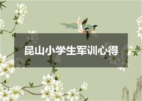 昆山小学生军训心得