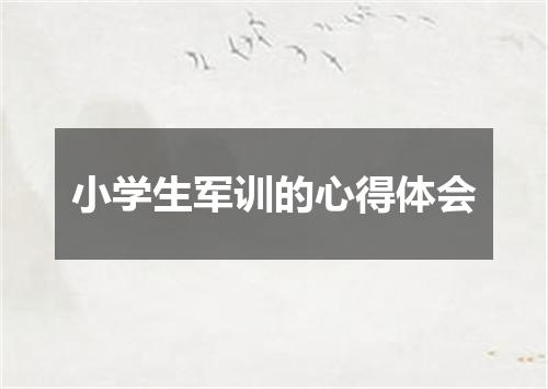 小学生军训的心得体会