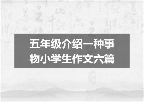五年级介绍一种事物小学生作文六篇