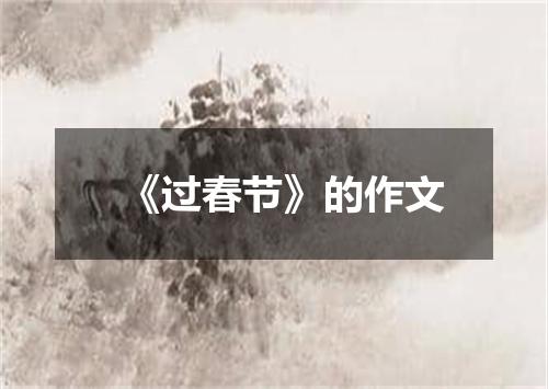 《过春节》的作文