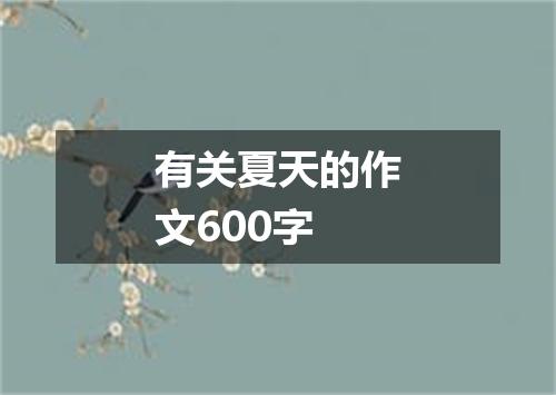 有关夏天的作文600字
