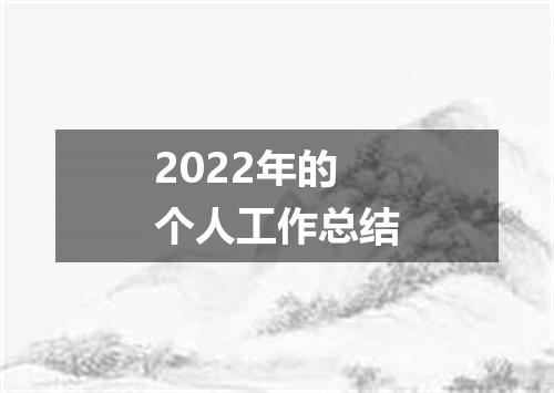 2022年的个人工作总结