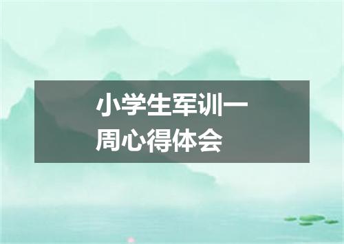 小学生军训一周心得体会