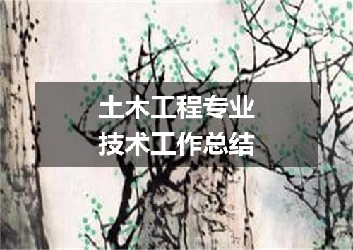 土木工程专业技术工作总结