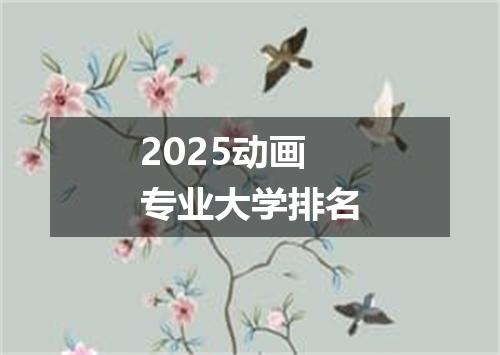2025动画专业大学排名
