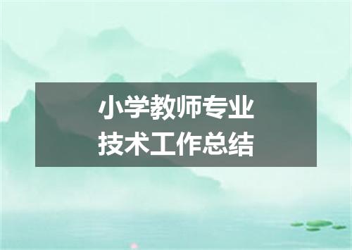 小学教师专业技术工作总结