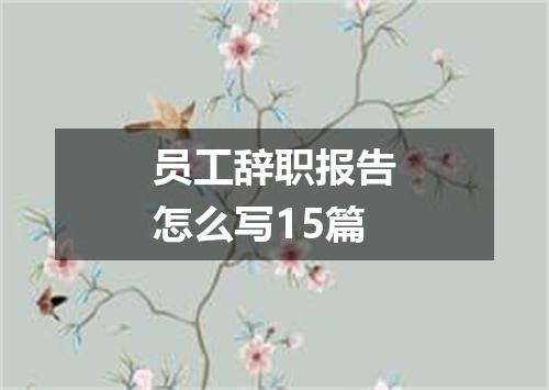 员工辞职报告怎么写15篇