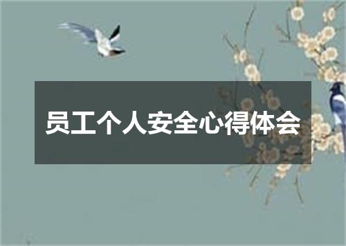 员工个人安全心得体会