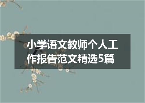 小学语文教师个人工作报告范文精选5篇