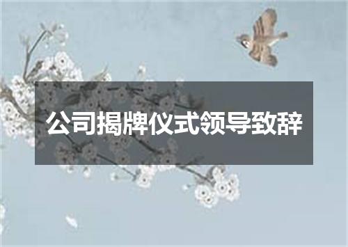 公司揭牌仪式领导致辞