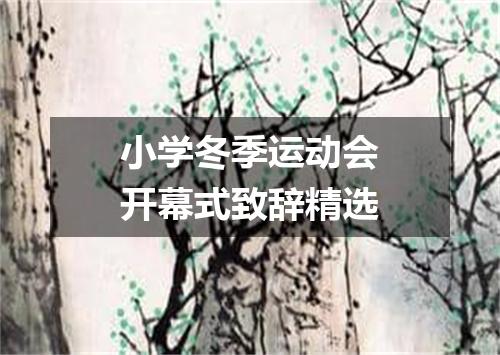 小学冬季运动会开幕式致辞精选