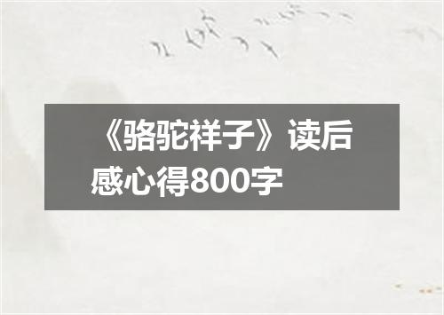 《骆驼祥子》读后感心得800字