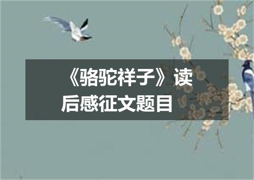 《骆驼祥子》读后感征文题目