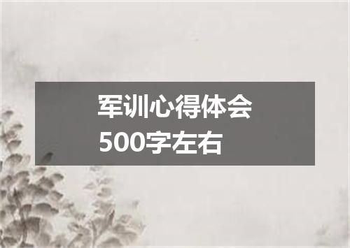 军训心得体会500字左右