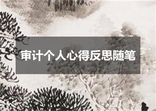 审计个人心得反思随笔