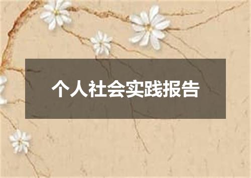 个人社会实践报告
