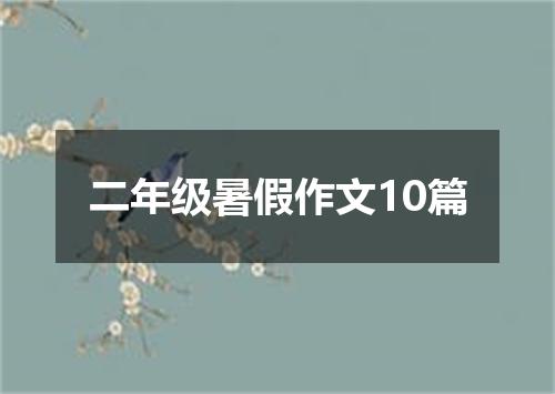 二年级暑假作文10篇