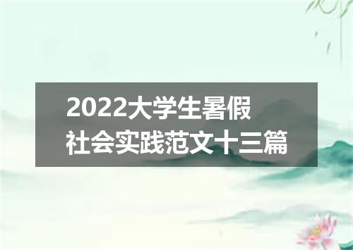 2022大学生暑假社会实践范文十三篇