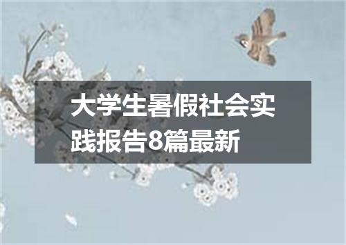 大学生暑假社会实践报告8篇最新