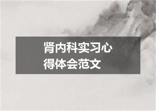 肾内科实习心得体会范文
