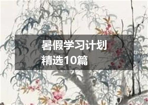 暑假学习计划精选10篇