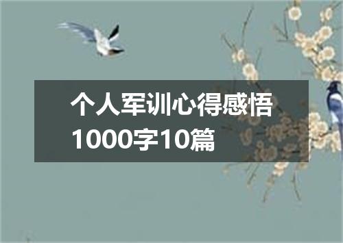 个人军训心得感悟1000字10篇