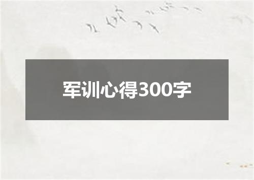 军训心得300字