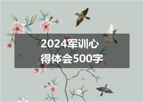 2024军训心得体会500字