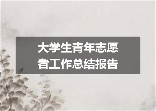 大学生青年志愿者工作总结报告