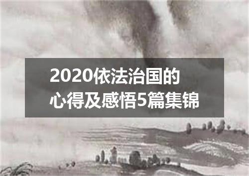 2020依法治国的心得及感悟5篇集锦